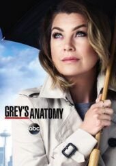 anatomia de grey