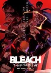 Dónde ver Bleach: Thousand-Year Blood War